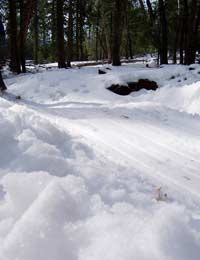 Snow Safety Stranded Prepared Supplies